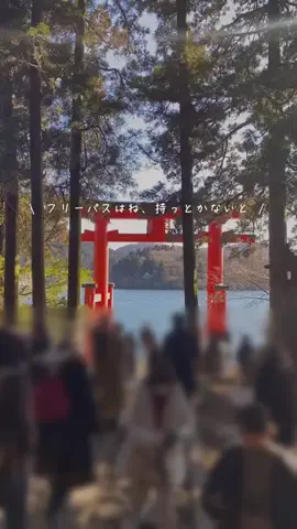 sachika 𓂃 ひとりもふたりも楽しむ暮らしのTikTok投稿