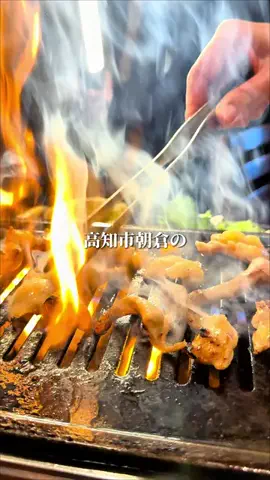 LSC放送局|高知 ローカルLife🌿のTikTok投稿