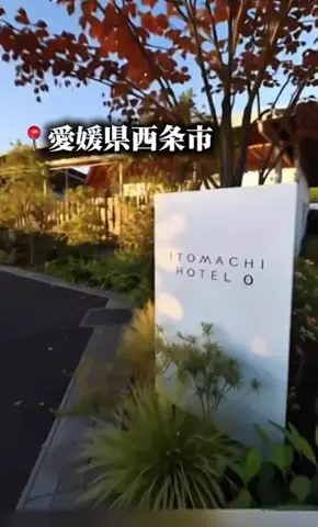 優雅のTikTok投稿