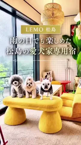 トラベルウィズドッグのTikTok投稿