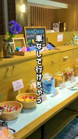 もじゃたび⌇静岡発✈︎旅行・観光・ホテルのTikTok投稿