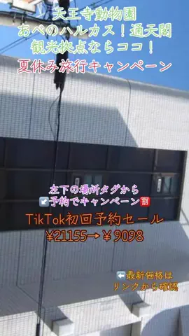 GOJYOちゃんのTikTok投稿