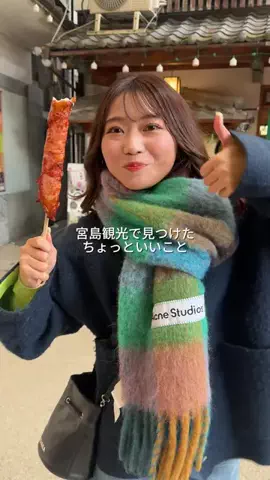 せいな飯のTikTok投稿