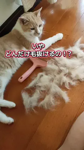 ピアス😼💫のTikTok投稿