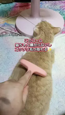 ピアス😼💫のTikTok投稿
