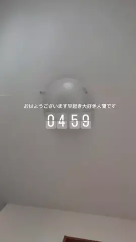まゆ@骨ストぽっちゃりのTikTok投稿