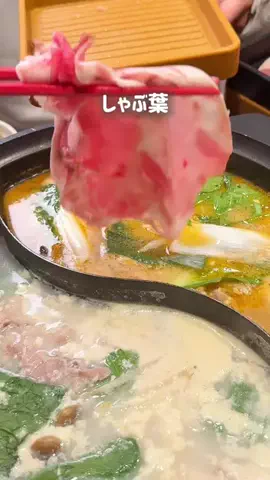 グルメ旅🐼ぱんだのTikTok投稿