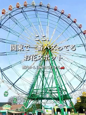 かおる✈️ / Kaoru☀︎のTikTok投稿
