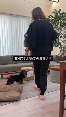 みほじさんのTikTok投稿