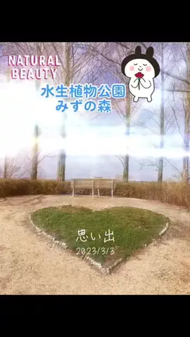 Skydaruma(ダルちゃん)のTikTok投稿