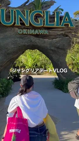 こたろブログのTikTok投稿