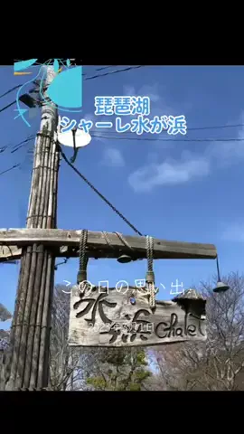 Skydaruma(ダルちゃん)のTikTok投稿