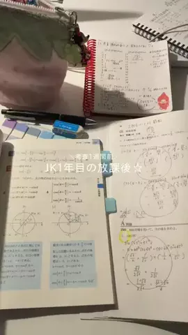 うるのTikTok投稿