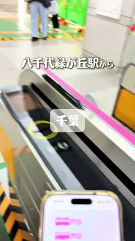 れい| 千葉グルメ&おでかけのTikTok投稿
