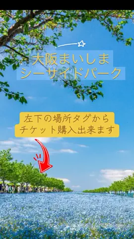 Skydaruma(ダルちゃん)のTikTok投稿