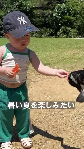 実況ベイビー🎤のTikTok投稿