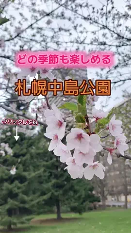 まけるなのTikTok投稿
