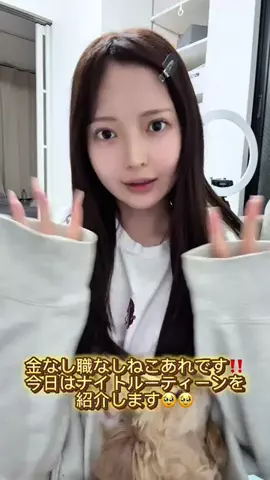 ねこあれのTikTok投稿