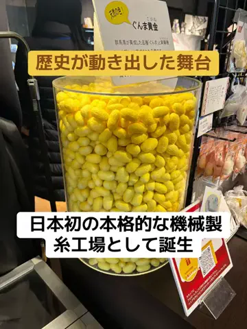 ポイけしき♨️宿図鑑のTikTok投稿