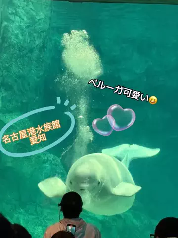ラベちゃん🪻温泉旅♨️のTikTok投稿