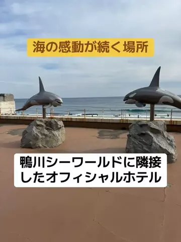 ポイけしき♨️宿図鑑のTikTok投稿