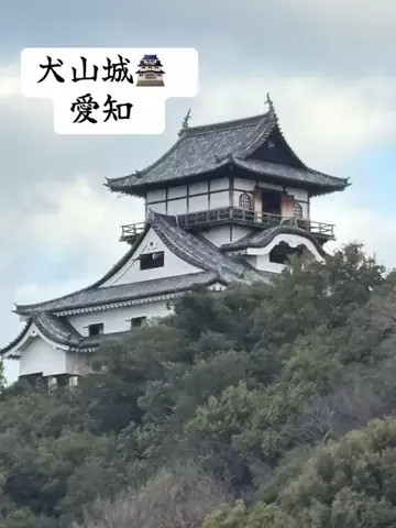 ラベちゃん🪻温泉旅♨️のTikTok投稿