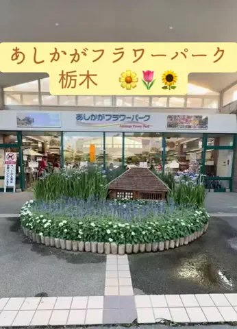 ラベちゃん🪻温泉旅♨️のTikTok投稿