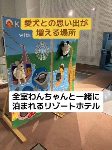 ポイけしき♨️宿図鑑のTikTok投稿