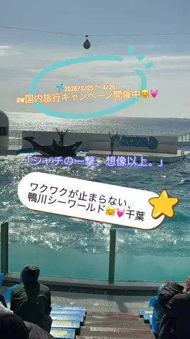 ラベちゃん🪻温泉旅♨️のTikTok投稿