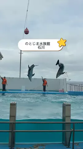 ラベちゃん🪻温泉旅♨️のTikTok投稿