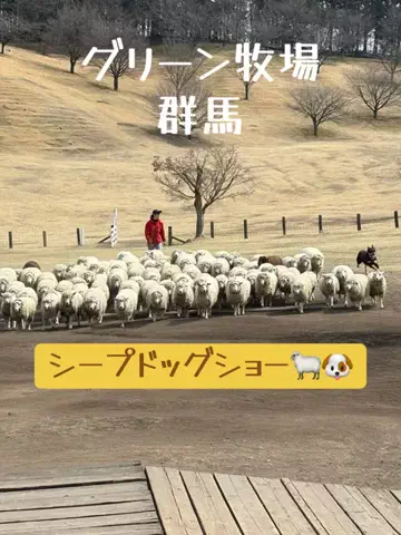 ラベちゃん🪻温泉旅♨️のTikTok投稿