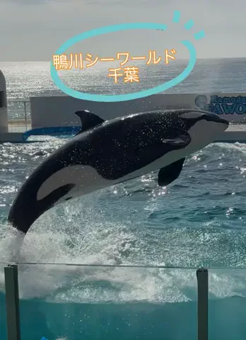 ラベちゃん🪻温泉旅♨️のTikTok投稿