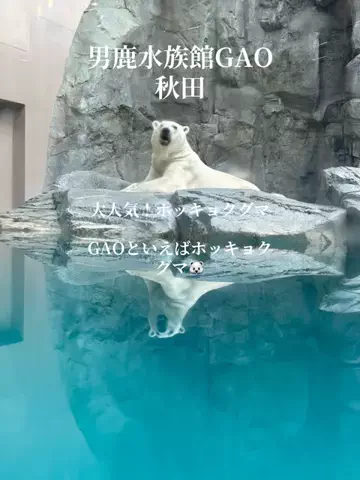 ラベちゃん🪻温泉旅♨️のTikTok投稿