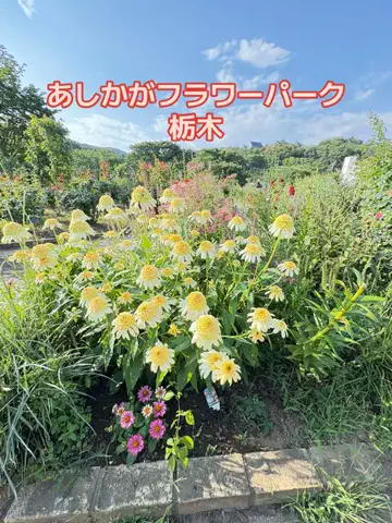 ラベちゃん🪻温泉旅♨️のTikTok投稿