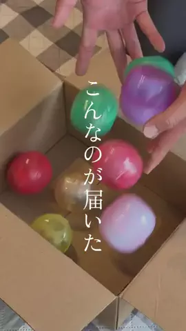 すっぽん！🐢📦のTikTok投稿