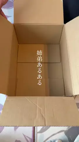 すっぽん！🐢📦のTikTok投稿