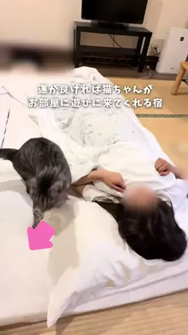しおり｜女子向けおでかけ・旅行情報🎀のTikTok投稿