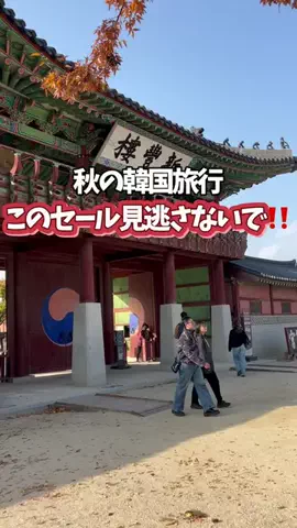 Umi🐬 ⌇ひとり韓国コスパ旅のTikTok投稿