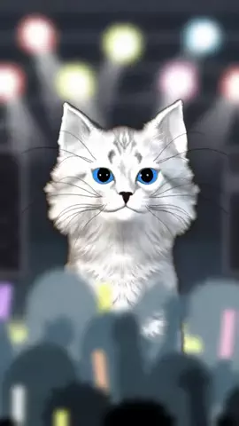 長崎弁猫(i_kun)のTikTok投稿