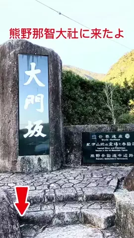 himawari/umiのTikTok投稿