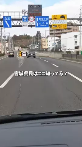 宮城グルメ／MIYAGI SELECTのTikTok投稿