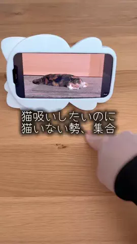 R＿コスパグッズ紹介🔎のTikTok投稿
