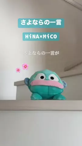 ピーマソのTikTok投稿