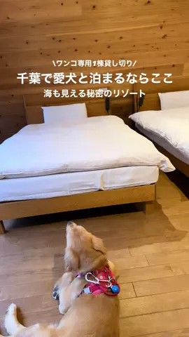 高山凌の外食日記✈️ホテル旅のTikTok投稿