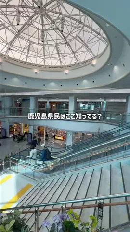 鹿児島グルメ／KAGOSHIMA SELECTのTikTok投稿