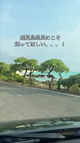 鹿児島グルメ／KAGOSHIMA SELECTのTikTok投稿
