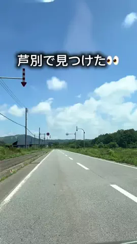 まるぐるめ【北海道グルメ・観光】のTikTok投稿