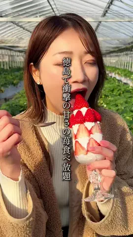徳島グルメ【公式】のTikTok投稿