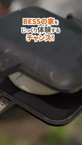 hinata TVのTikTok投稿