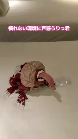 y_urin_aのTikTok投稿
